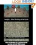 Sandplay: Silent Workshop of the Psyche