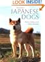 Japanese Dogs: Akita, Shiba, and Other Breeds