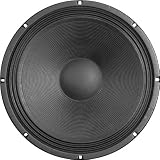 Eminence Beta 15A Speaker