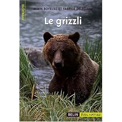 Le grizzli