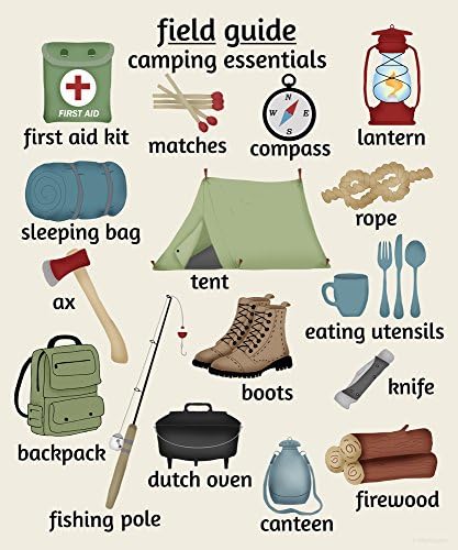 Camping Nursery Art Print, Field Guide Series, Children's Poster (11x14, Tan Background)