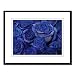 Blue Roses Art Print