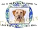 labrador11  - Yellow Labrador Retriever Mouse Pad Dog Mousepad Creation