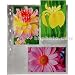 PANA-VUE ARCHIVAL PRINT PAGES PKG. OF 25 FOR 4X6 PRINTS - EACH PAGE HOLDS 6 PRINTS