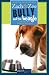 Zach & Zoe: Bully and the Beagle (Streetlights)