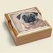 ABSORBASTONE COASTERS * PUG PUGS
