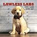 Lawless Labs: Good Labs Gone Bad