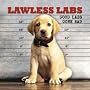 Lawless Labs: Good Labs Gone Bad