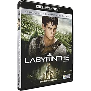 Le Labyrinthe [4K Ultra HD + Blu-ray + Digital HD]