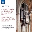 Reger: Organ Works, Vol. 8