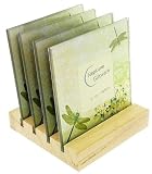Set of 4 Glass Photo Coasters Gift Set - Insert Your Own Photos - Real Wood Stand - Dragonfly Theme - 02