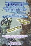 Digital Aquarium: Turtles of the Caribbean