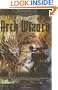 Arch Wizard (Falconfar Saga 2)