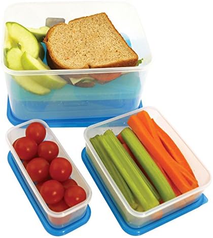 Lunch Box with Ice Pack, 3 Compartment Food Containers, 3 Reusable Bento Boxe...