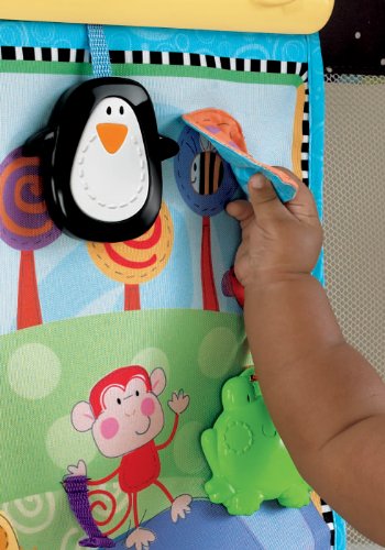 Imagen 7 de Fisher Price - Fisher Price - Panel Activity De Cuna (de 0 a 12 meses) (Mattel)