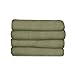 Sunbeam Microtec Ultra-Soft Heated Electric Throw Blanket - Sage Green