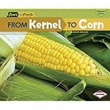 From Kernel to Corn (Start to Finish, Second (Paperback))