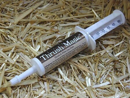 Childrens Toyshop  Sporting Goods : Thrush Magic Paste