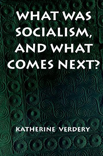 What Was Socialism, and What Comes Next? (Princeton Studies in Culture/Power/History)