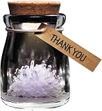 Iggi Crystal Garden Grow Your Own Wish Flower, THANK YOU, White