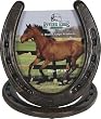 Horseshoe Picture Frame