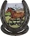 Horseshoe Picture Frame
