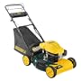 Yard-Man 12AE46JA001 21-Inch 173cc MTD OHV Gas-Powered Side Discharge/Bagging/Mulching FWD Self-Propelled Lawn Mower