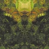 Buy : Edward`s Lament