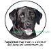 Labrador Retriever BLACK Happiness Adult Hoodie Hooded Sweatshirt