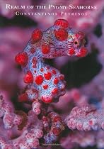 Realm of the Pygmy Seahorse: An Underwater Photography Adventure