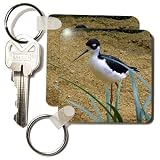 Edmond Hogge Jr Birds - Black-Necked Stilt - Key Chains