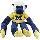 NCAA Michigan Wolverines 27