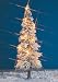 Busch Gmbh and Co Kg - Christmas tree w/9 lights G