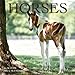Horses Mini Wall Calendar 2015