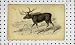 1819 NATURAL HISTORY MASTIFF DOG LAMB NATURAL HISTORY