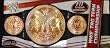 WWE Tag Team Championship Belt