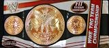 WWE Tag Team Championship BeltIMAGE