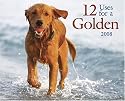 12 Uses For A Golden 2008 Calendar