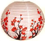 Chinese Japanese Paper Lantern 16