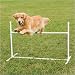 Petsafe Bar Jump