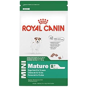ROYAL CANIN SIZE HEALTH NUTRITION MINI Mature 8+ dry dog food, 13-Pound