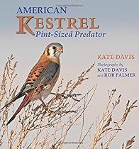 American Kestrel: Pint-sized Predator