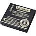 Panasonic DMW-BCF10 Battery for Select Lumix Cameras - Retail Packaging