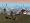 SimCity Societies (PC DVD)