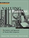 Valuing A Business, 4th Edition