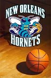 New Orleans Hornets Poster Poster Print, 22x34