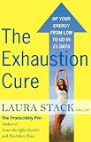 The Exhaustion Cure: Up Your Energy from Low to Go in 21 Days