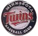 MLB Minnesota Twins Logo Pin
