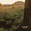 Amazon.com: Used and New: Noble Beast