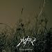 To Lay Like Old Ashes